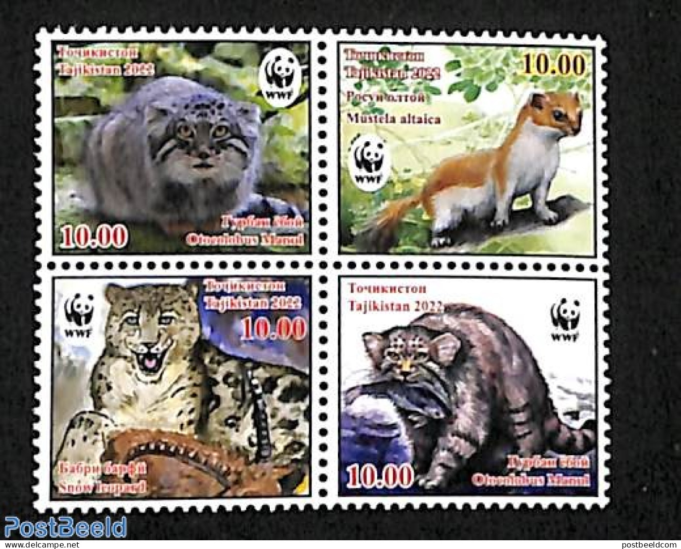 Tajikistan 2022 WWF 4v [+], Mint NH, Nature - Animals (others & Mixed) - Cat Family - Cats - World Wildlife Fund (WWF) - Tadschikistan