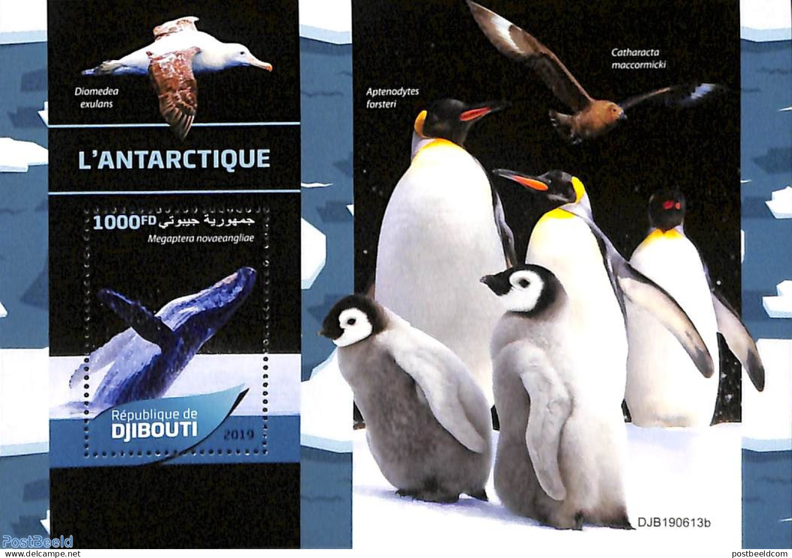 Djibouti 2019 Antarctic Animals S/s, Mint NH, Nature - Science - Penguins - Sea Mammals - The Arctic & Antarctica - Gibuti (1977-...)