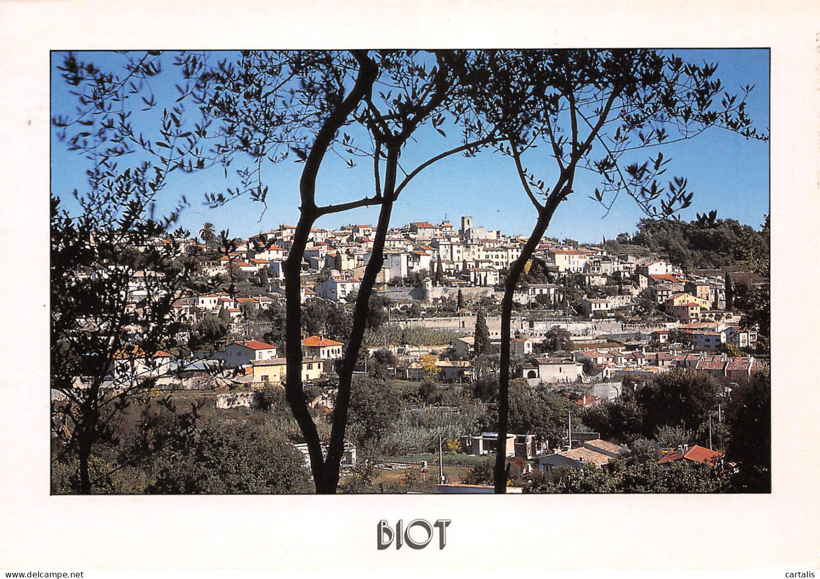 06-BIOT-N°3706-B/0229 - Biot