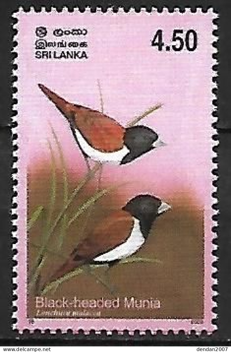 Sri Lanka - MNH ** 2003 :   Tricolored Munia  -  Lonchura Malacca - Pájaros Cantores (Passeri)