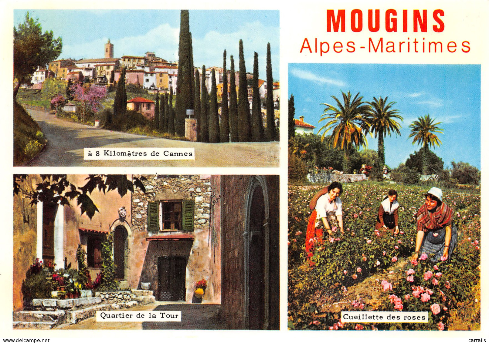 06-MOUGINS-N°3707-D/0127 - Mougins