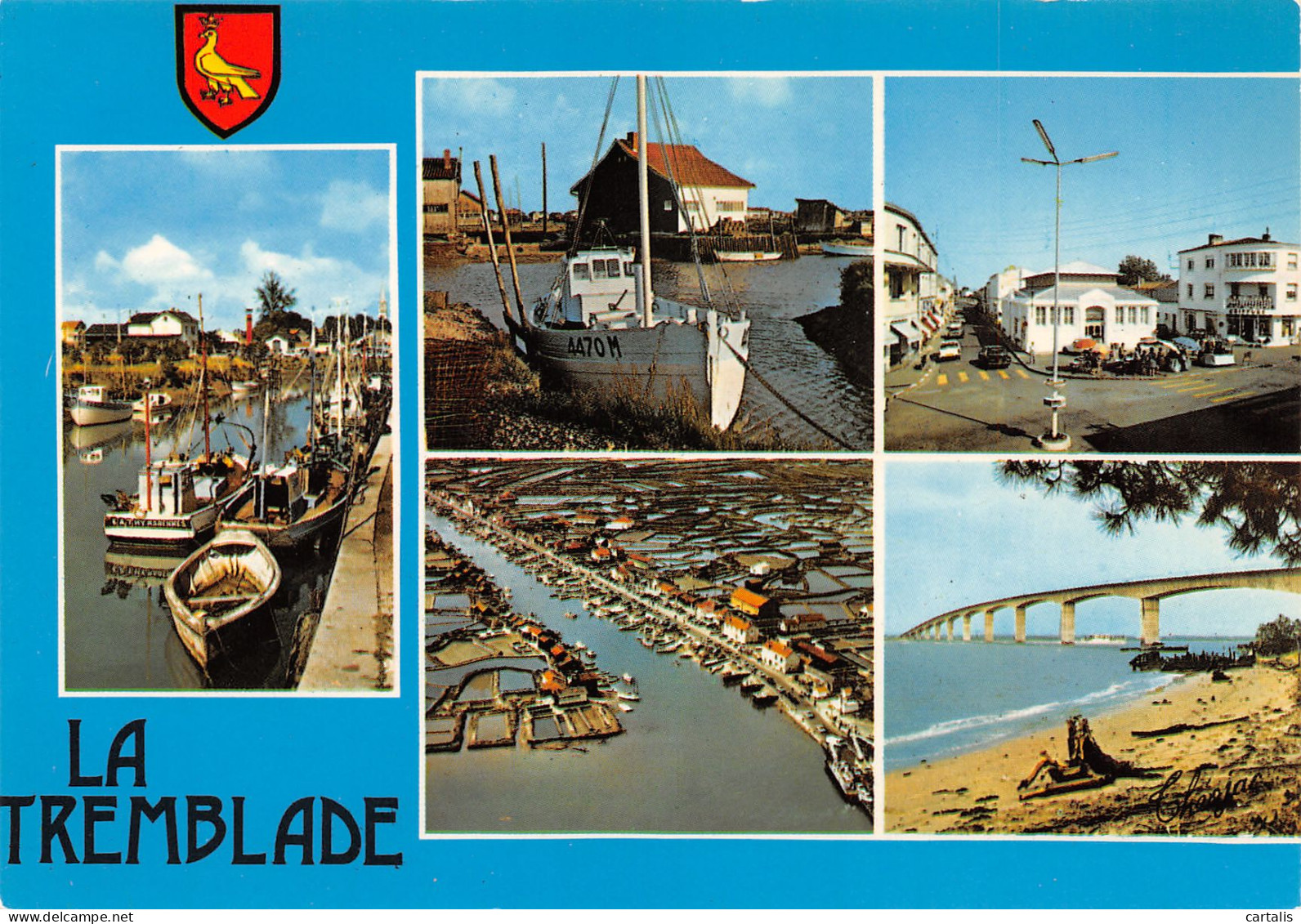 17-LA TREMBLADE-N°3708-B/0049 - La Tremblade