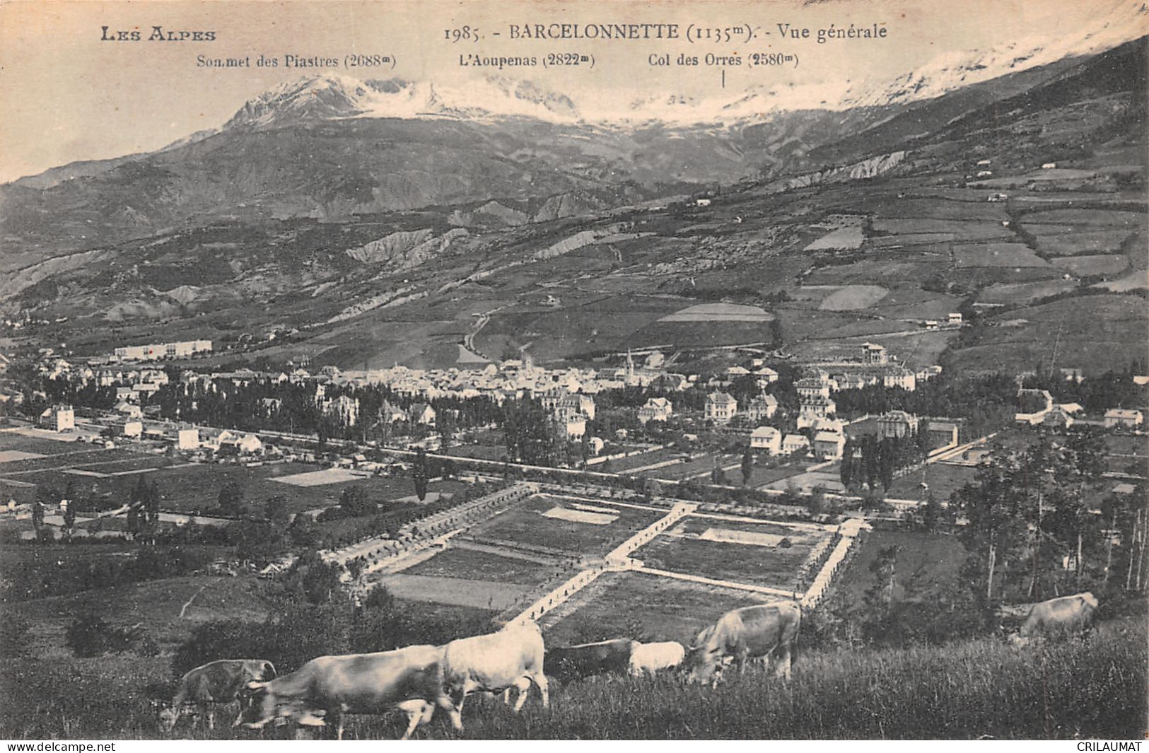 04--BARCELONNETTE-N°T5037-E/0329 - Barcelonnette