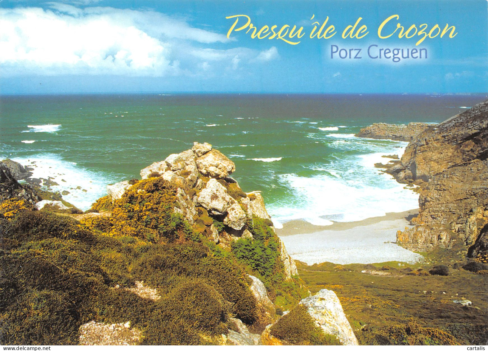 29-CROZON PRESQU ILE-N°3709-C/0239 - Crozon