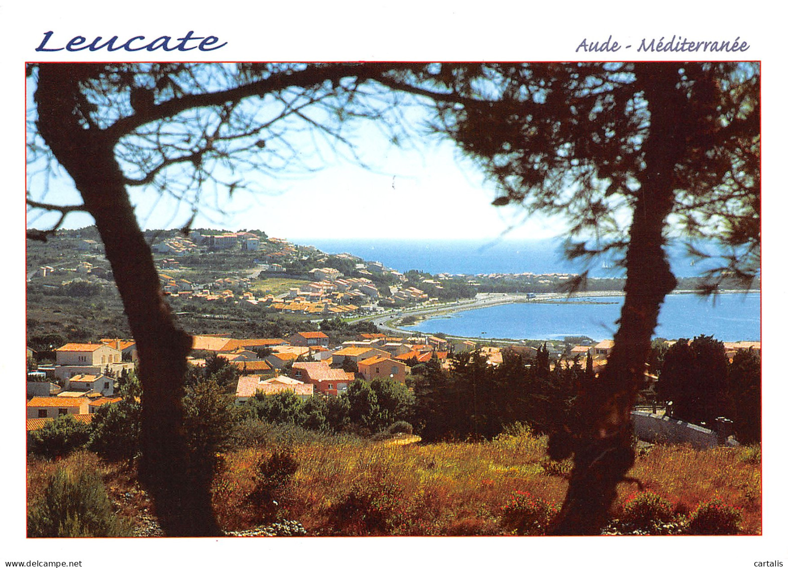 11-LEUCATE-N°3709-B/0175 - Leucate