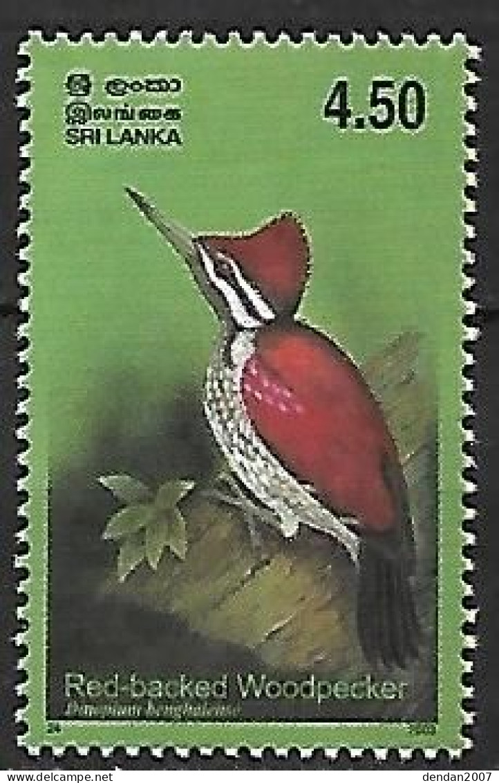 Sri Lanka - MNH ** 2003 :    Red-backed Flameback  -  Dinopium Psarodes - Climbing Birds