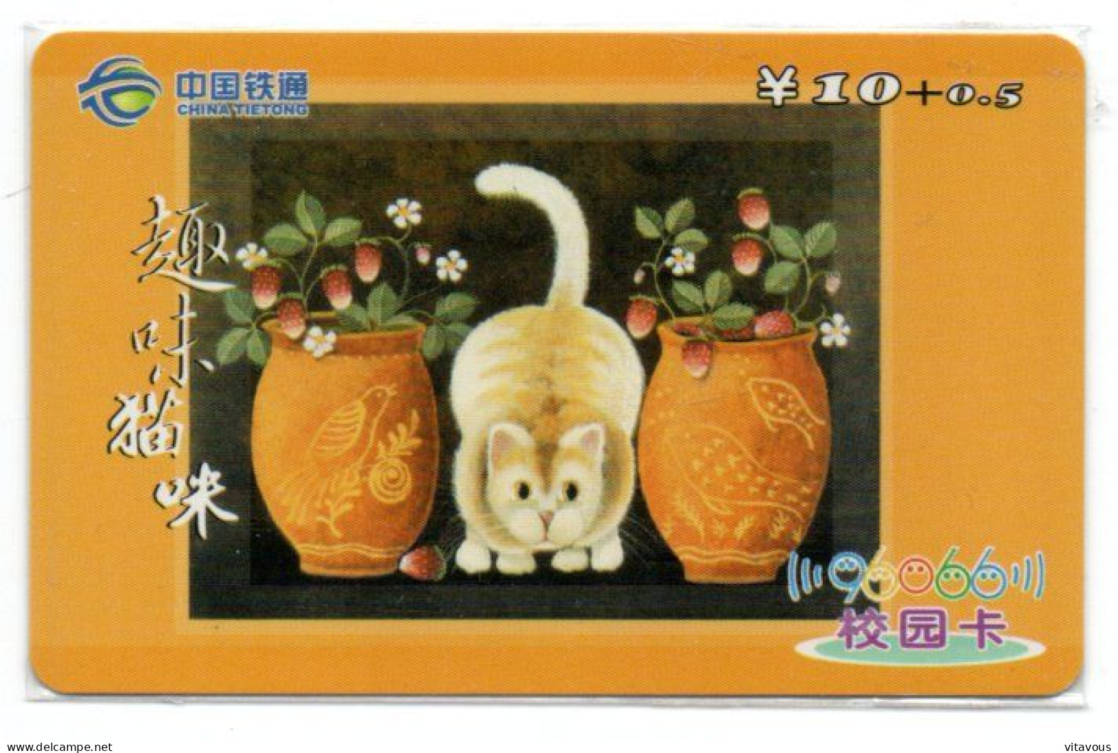 Chat Cat Télécarte Chine Phonecard  (K 223) - China