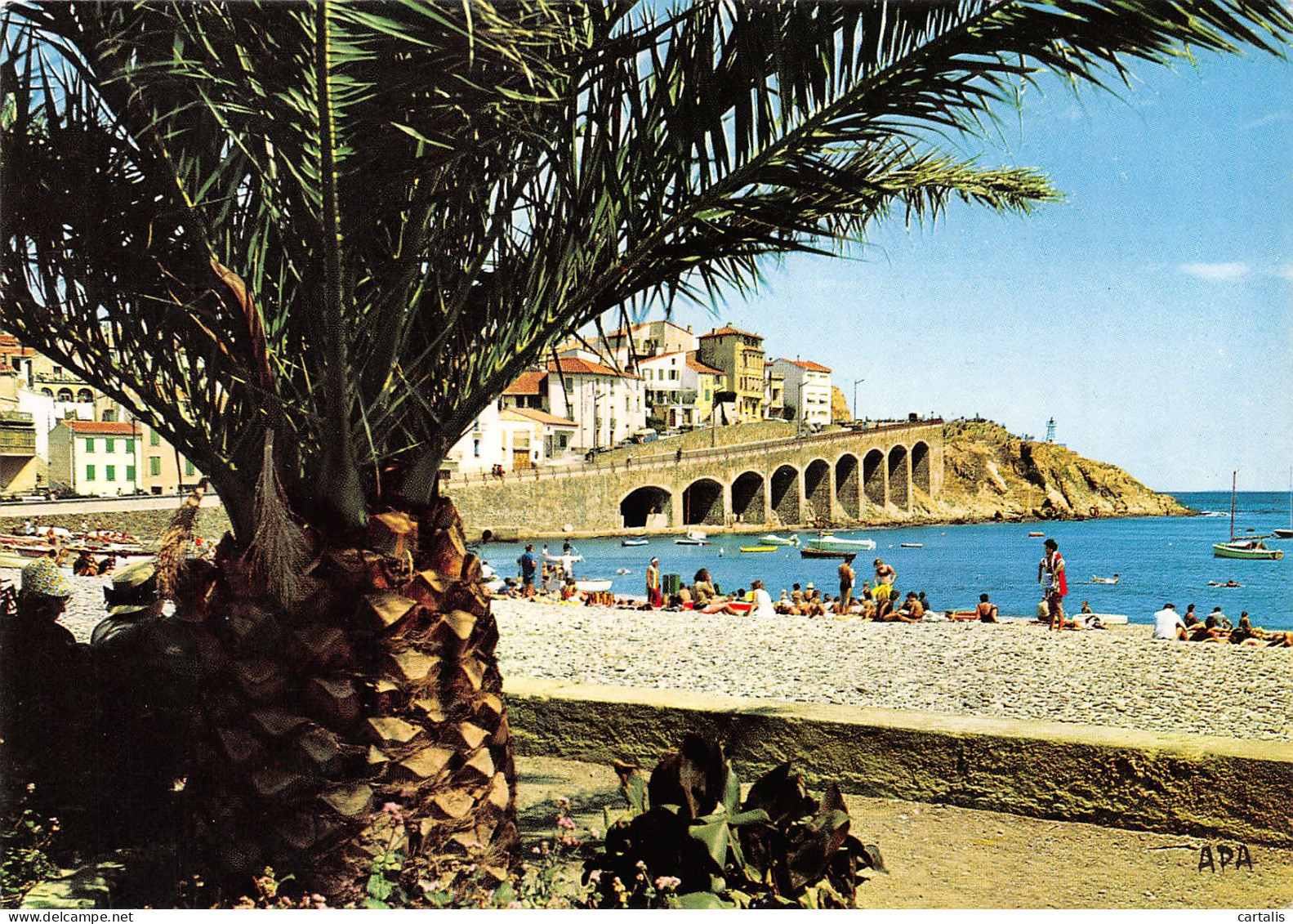 66-BANYULS SUR MER-N°3712-C/0039 - Banyuls Sur Mer