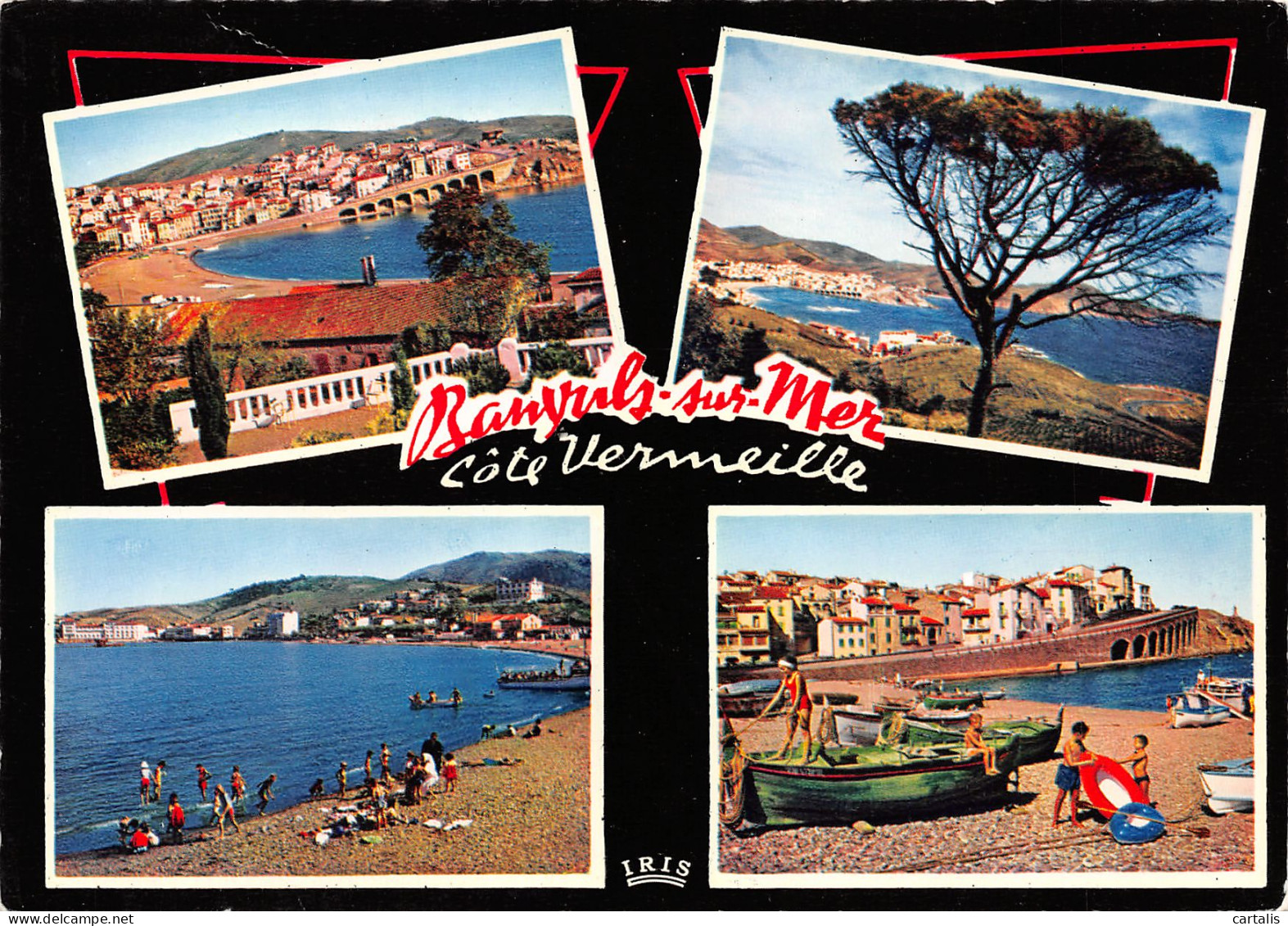 66-BANYULS SUR MER-N°3712-C/0033 - Banyuls Sur Mer