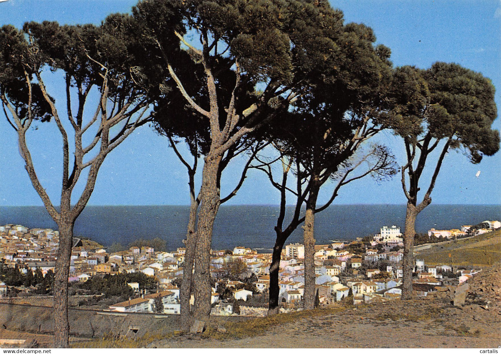 66-BANYULS SUR MER-N°3712-C/0027 - Banyuls Sur Mer