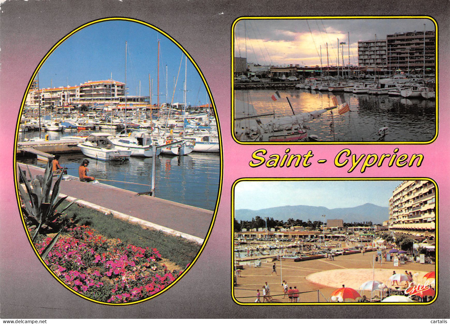 66-SAINT CYPRIEN PLAGE-N°3711-D/0385 - Saint Cyprien