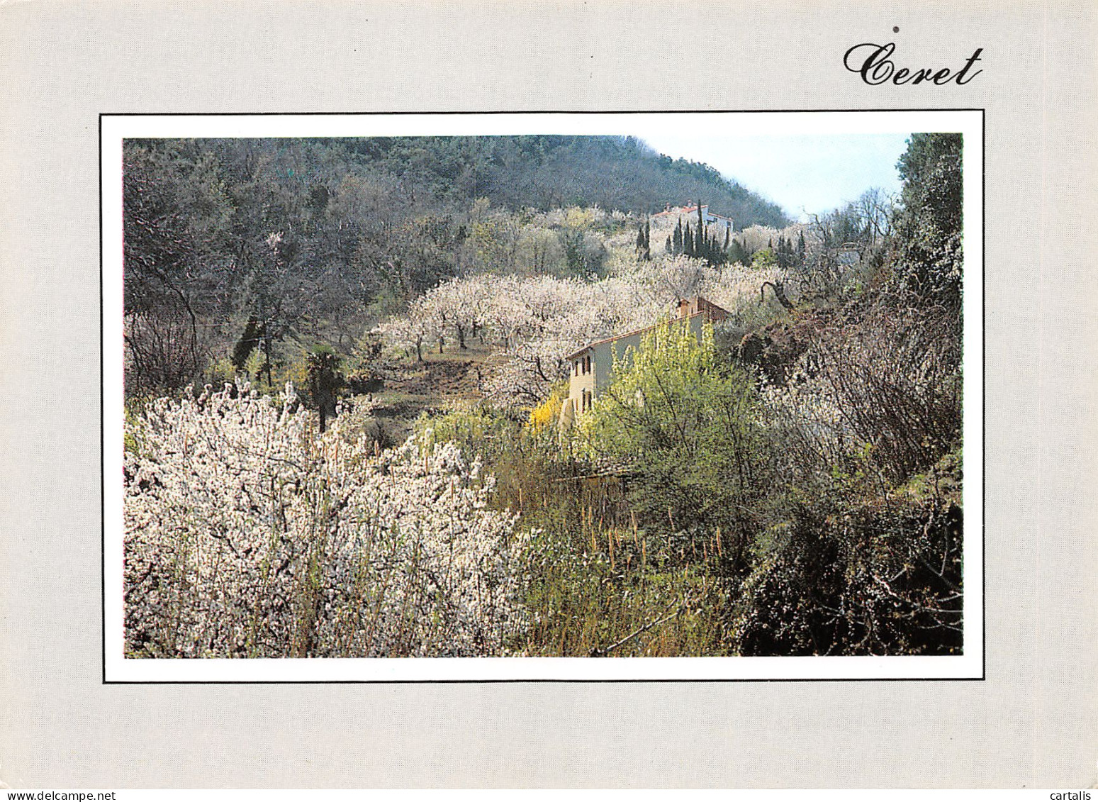 66-CERET-N°3713-C/0141 - Ceret