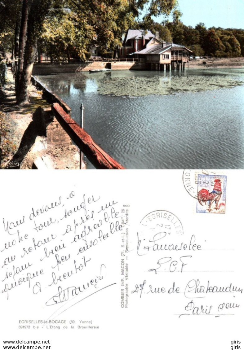89 - Yonne - Egriselles Le Bocage - L'étang De La Brouilleraie - Egriselles Le Bocage