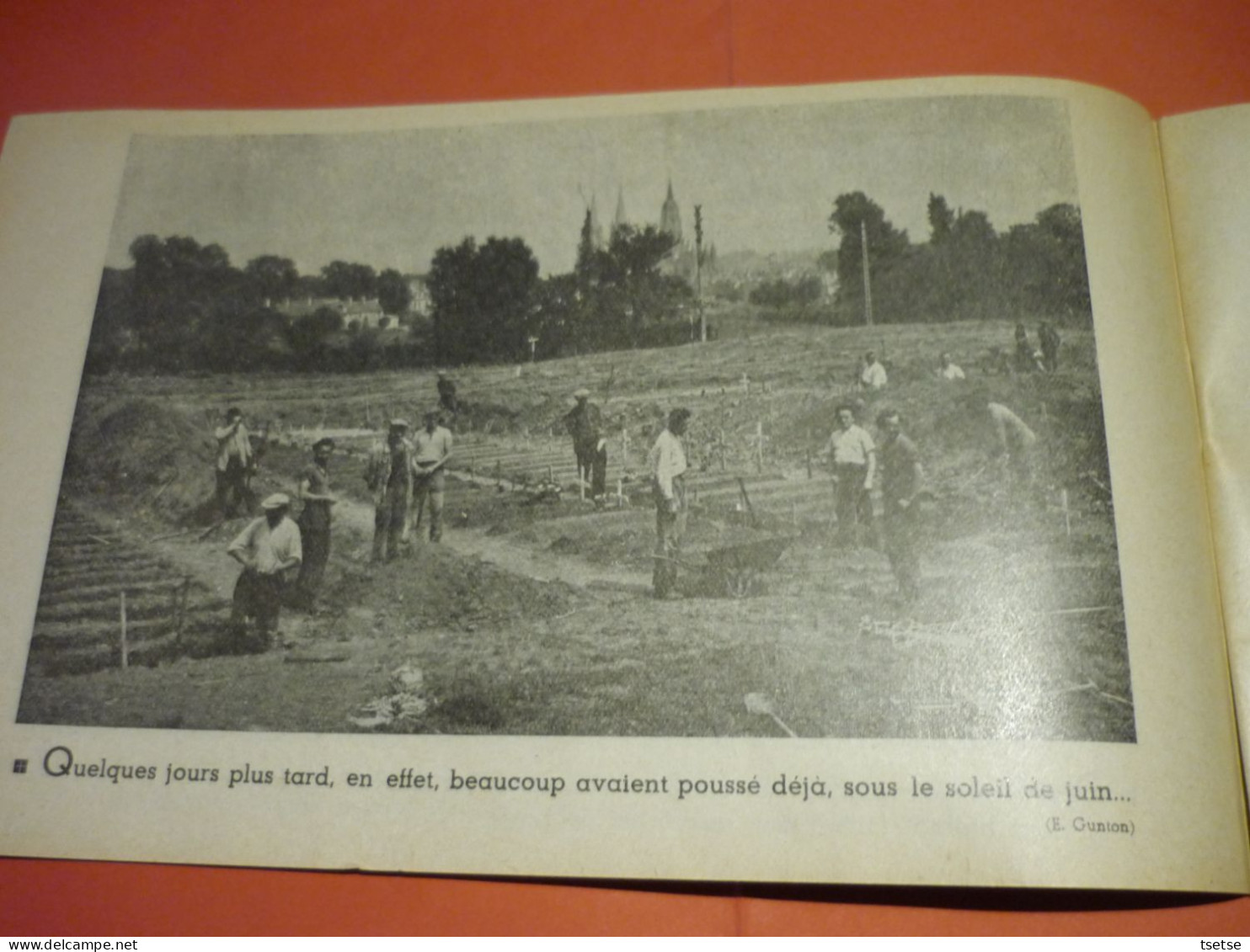 WW2 - D-Day-Album-souvenir Du Débarquement 3e Partie Par Marc Helmer ... Vers 1950 - Francese