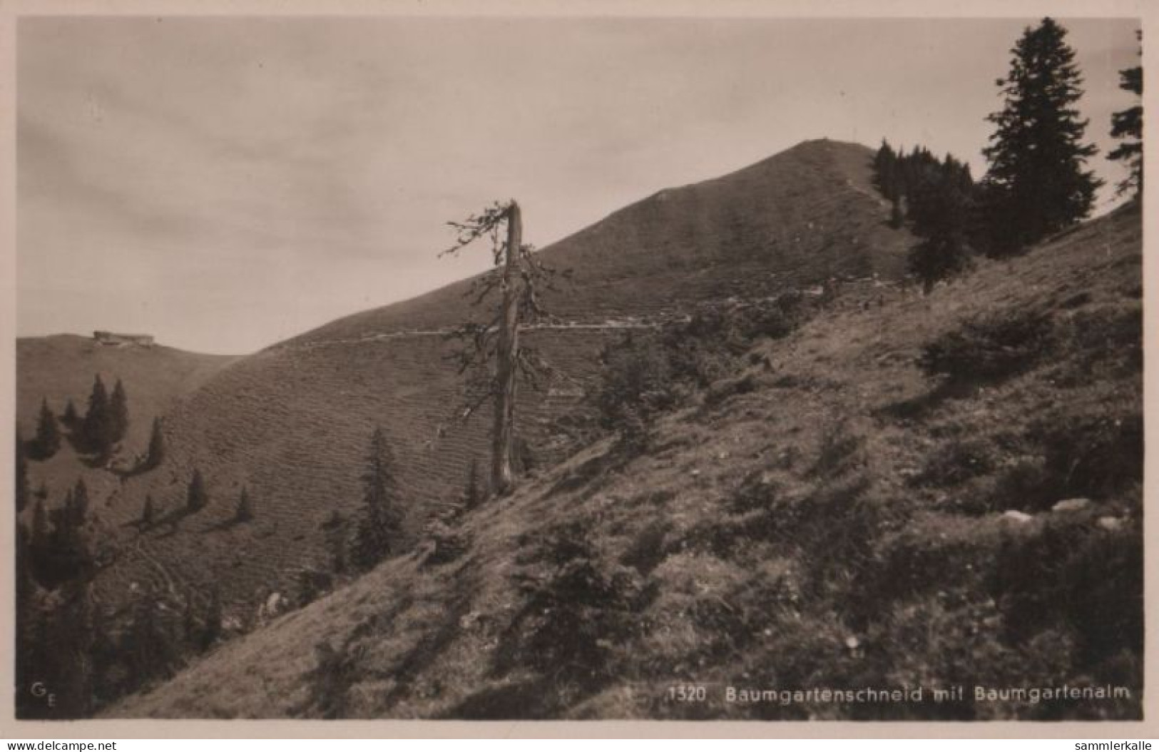 86862 - Tegernsee - Baumgartenschneid Und Baumgartenalm - Ca. 1955 - Tegernsee