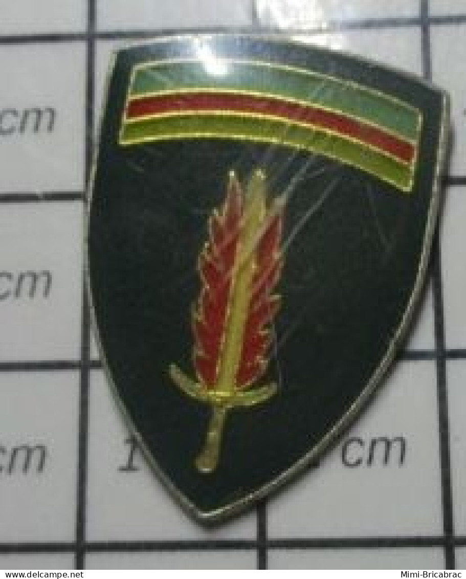 812D Pin's Pins / Beau Et Rare / MILITARIA /  Insigne USA Epee Enflammee Militaria - Militares