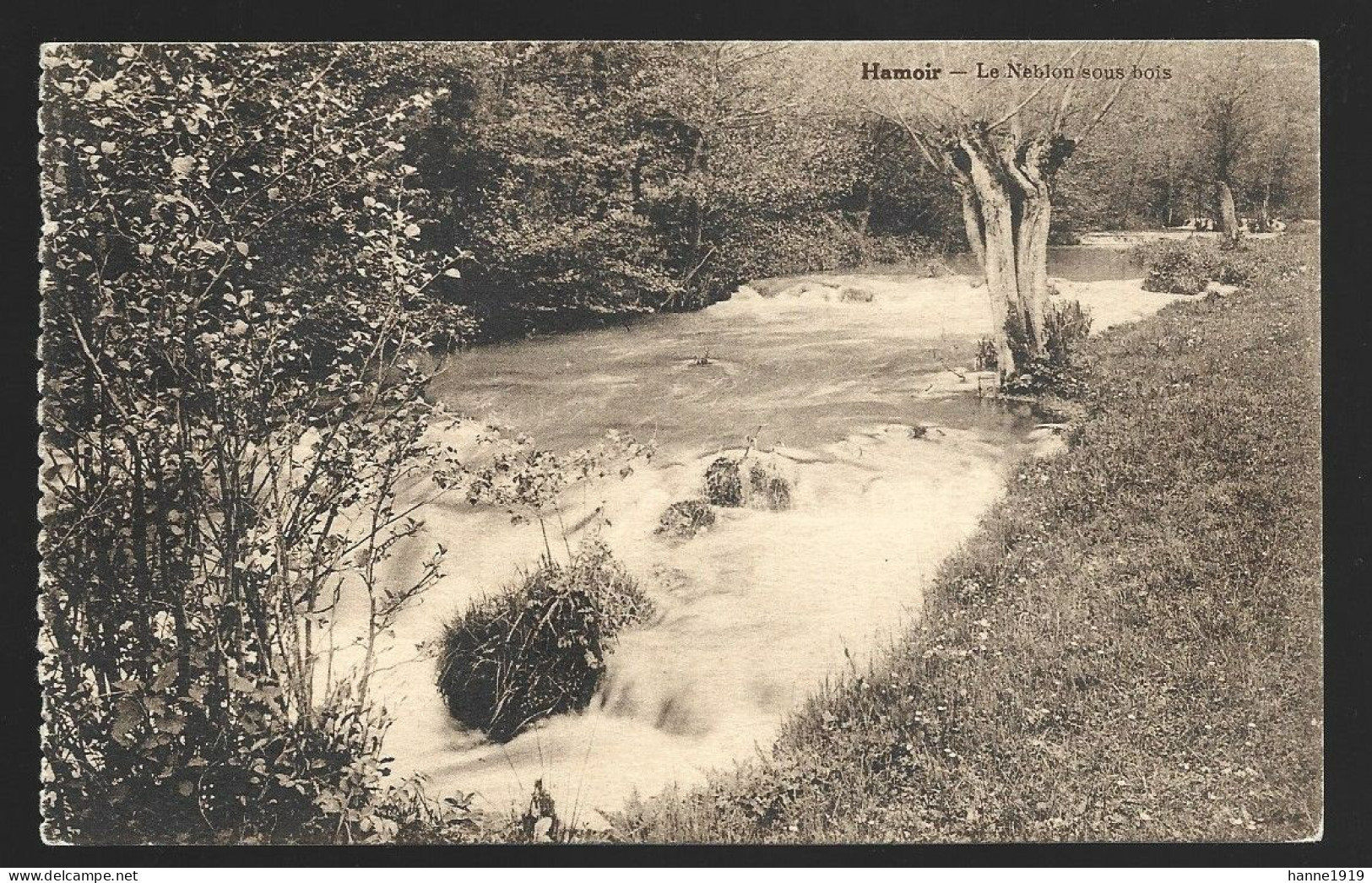 Hamoir Le Neblon Sous Bois Liège Htje - Hamoir