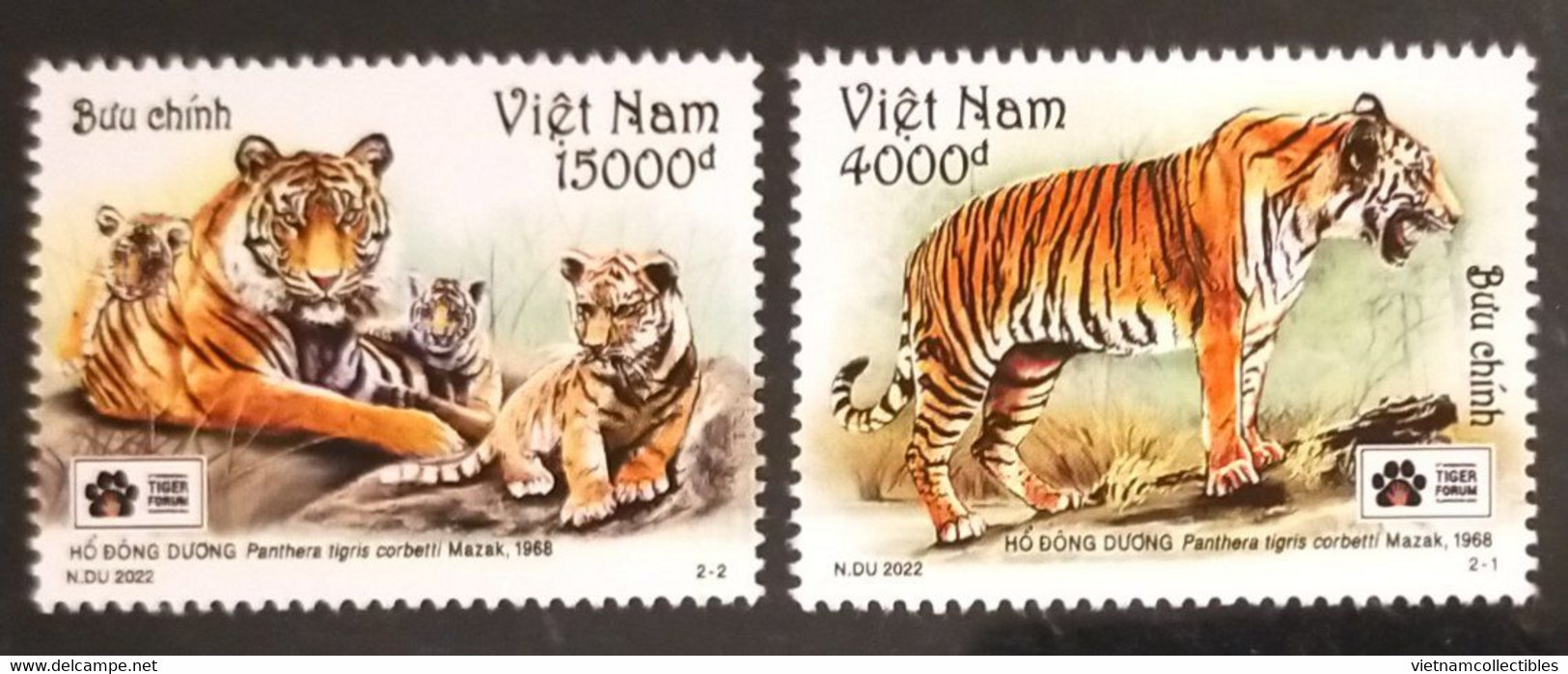 Vietnam Viet Nam MNH Perf Stamps 2022 : Indochinese Tiger Panthera Tigris / Big Cat (Ms1162) - Vietnam