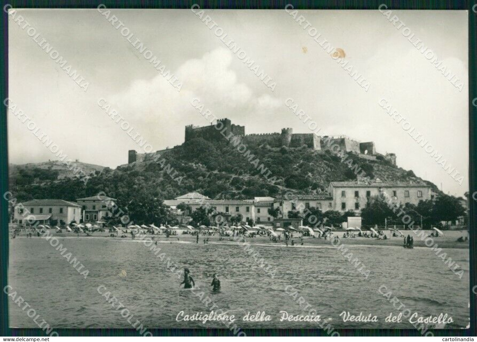 Grosseto Castiglione Della Pescaia MACCHIA Foto FG Cartolina KV7955 - Grosseto