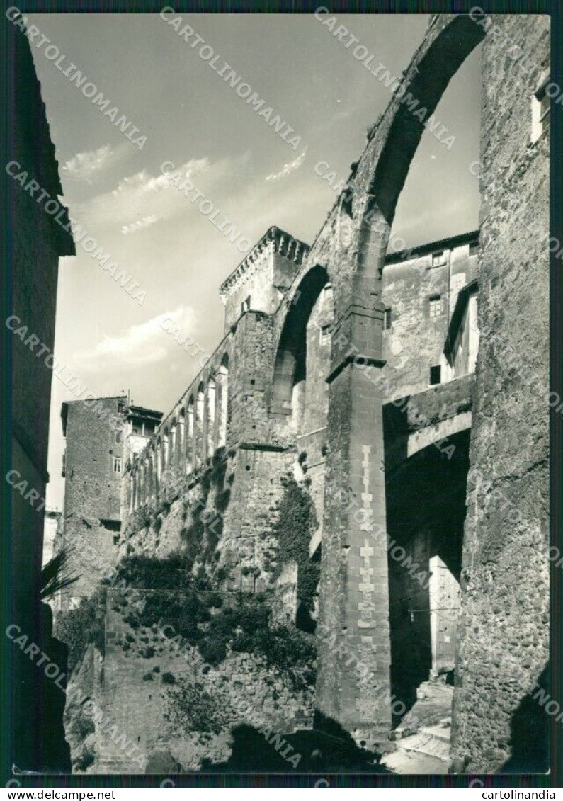 Grosseto Pitigliano PIEGA Foto FG Cartolina KV7977 - Grosseto