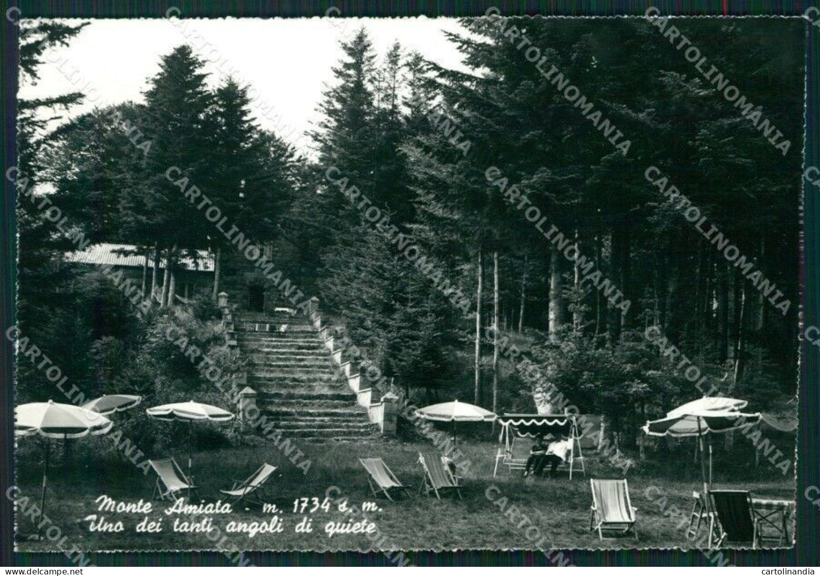 Grosseto Monte Amiata Abbadia San Salvatore Foto FG Cartolina KV7997 - Grosseto