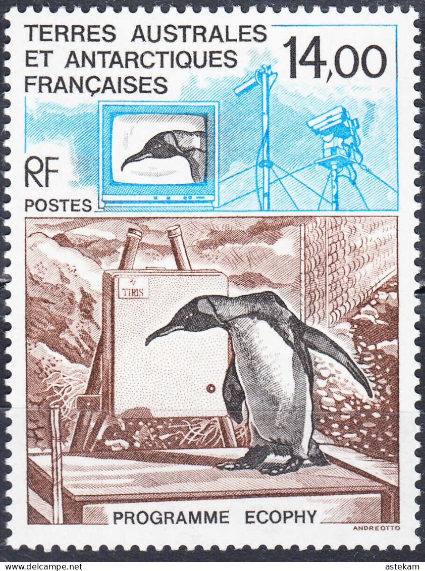 TAAF 1993, FAUNA, EMPEROR PENGUIN, COMPLETE, MNH SERIES With GOOD QUALITY, *** - Unused Stamps