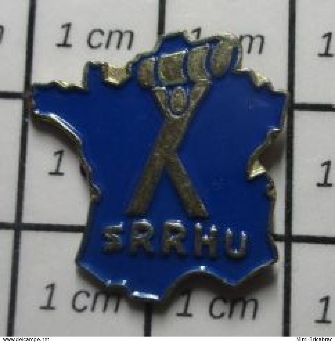 313J Pin's Pins / Beau Et Rare : MARQUES / SRRHU RECUPERATION HUILES USAGEES - Trademarks