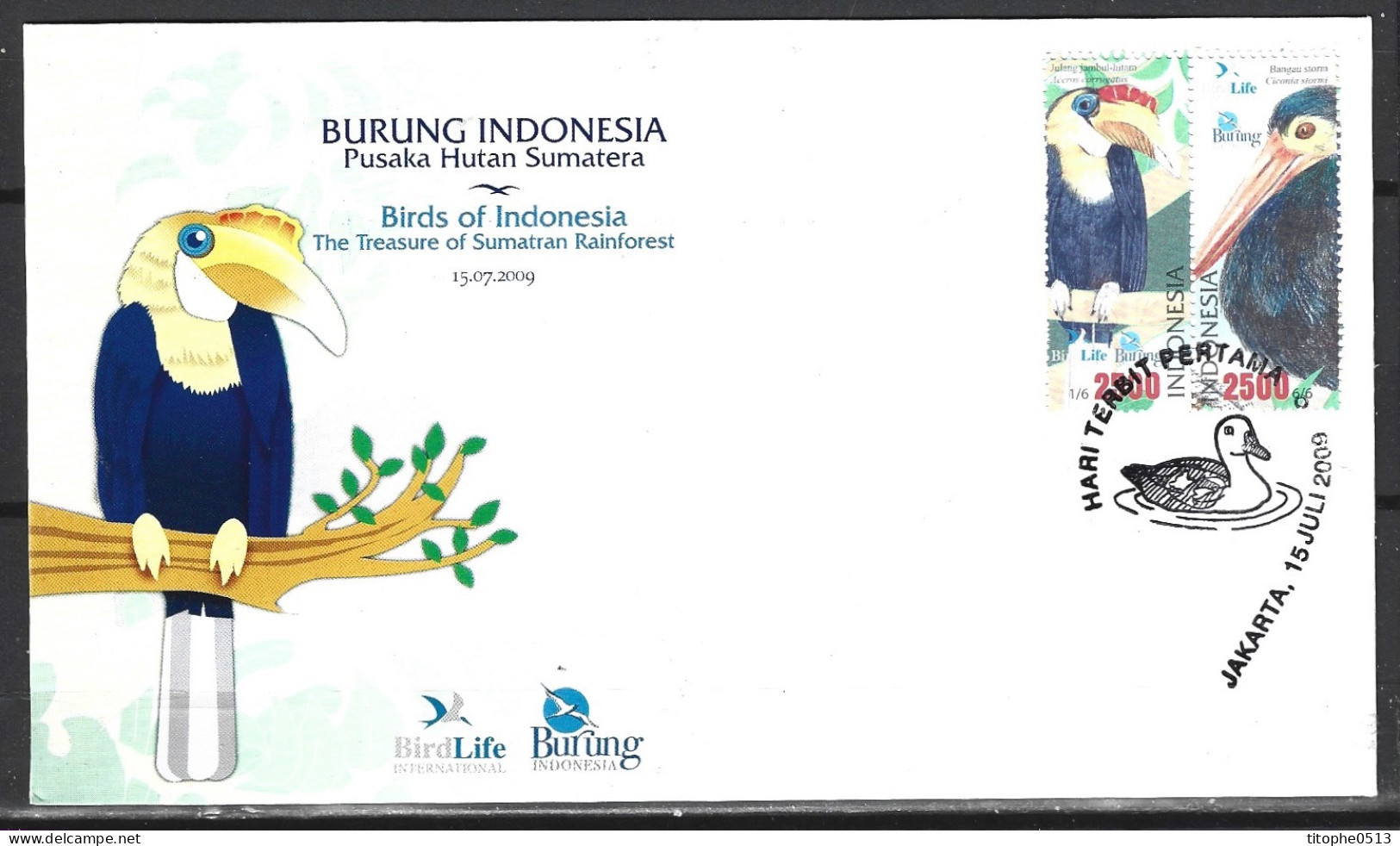 INDONESIE. Timbres Issus Du BF 247 De 2009 Sur Enveloppe 1er Jour. Cigogne/Calao. - Storks & Long-legged Wading Birds