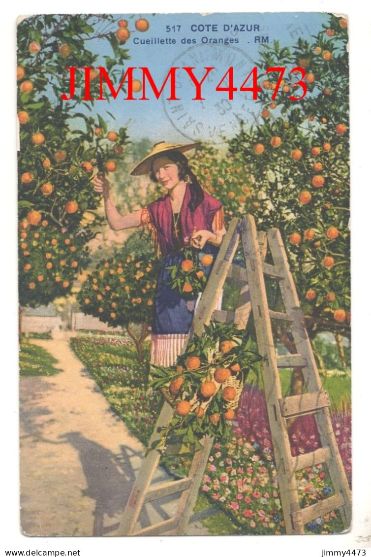 CPA - CÔTE D'AZUR En 1930 - Cueillette Des Oranges - N° 517 - R M - Phot-Edit. D'Art MUNIER à NICE - Culturas