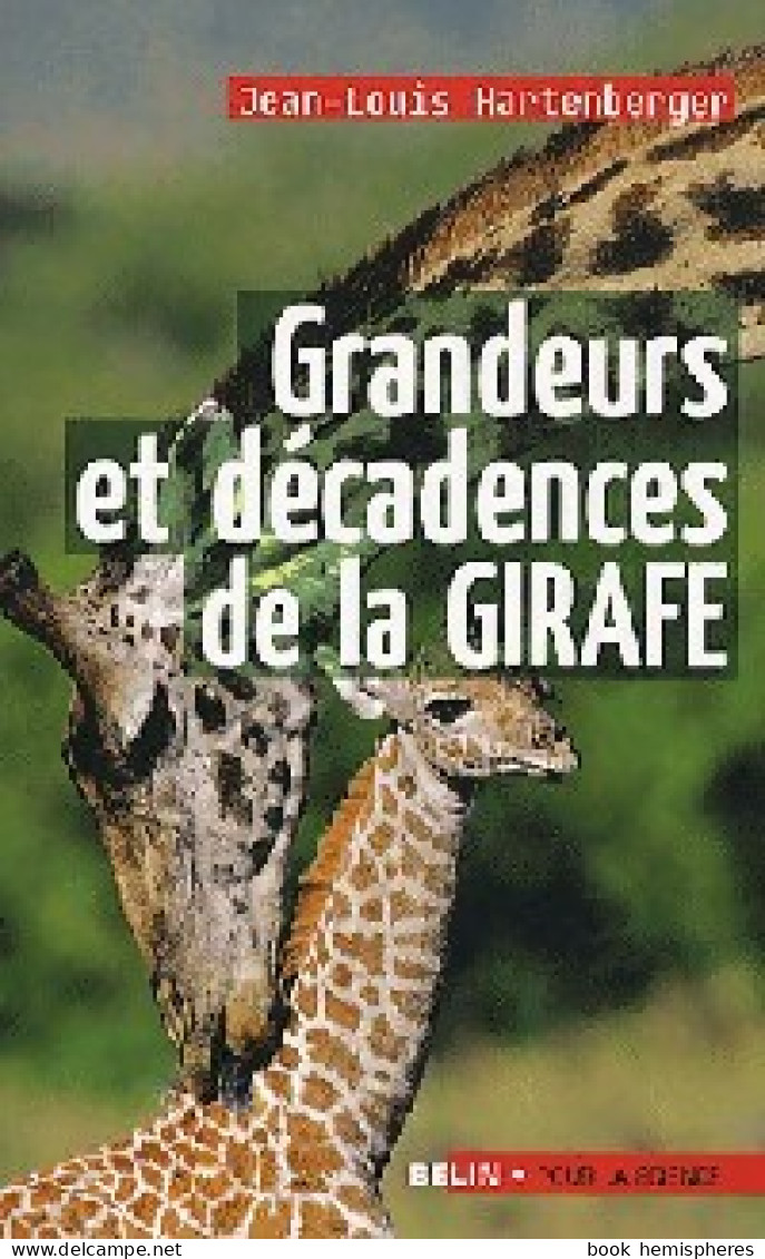 Grandeurs Et Décadences De La Girafe (2010) De Jean-Louis Hartenberger - Tiere