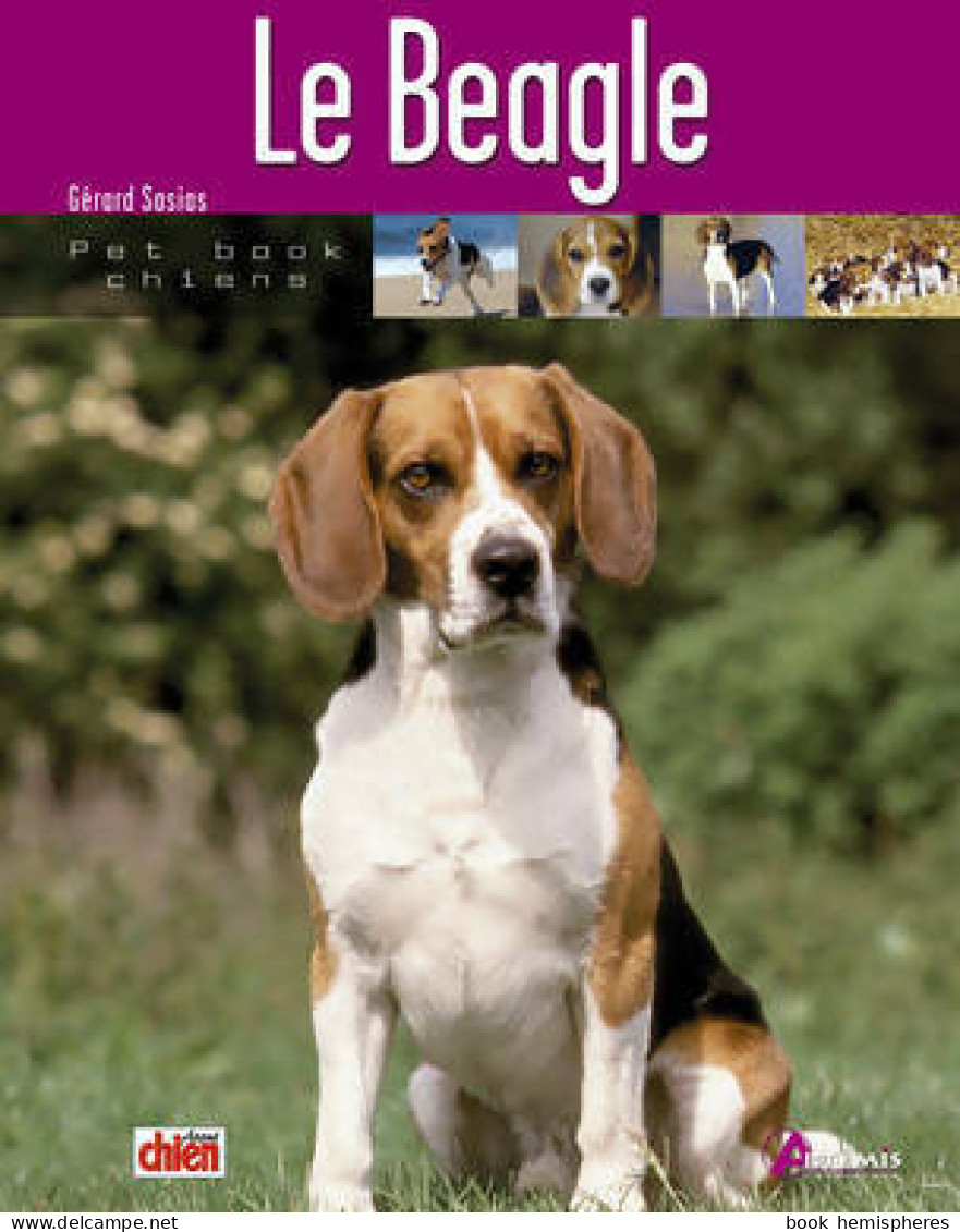 Le Beagle (2008) De Gérard Sasias - Tiere