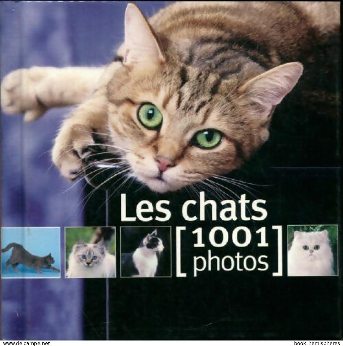 Les Chats En 1001 Photos (2006) De Yves Collectif ; Lanceau - Animales