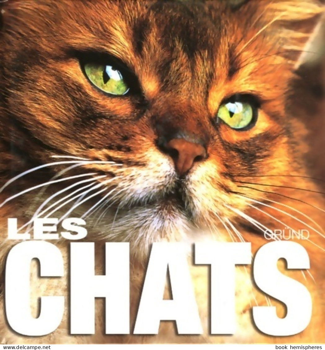 Les Chats (2007) De Caterina Gromis Di Trana - Dieren