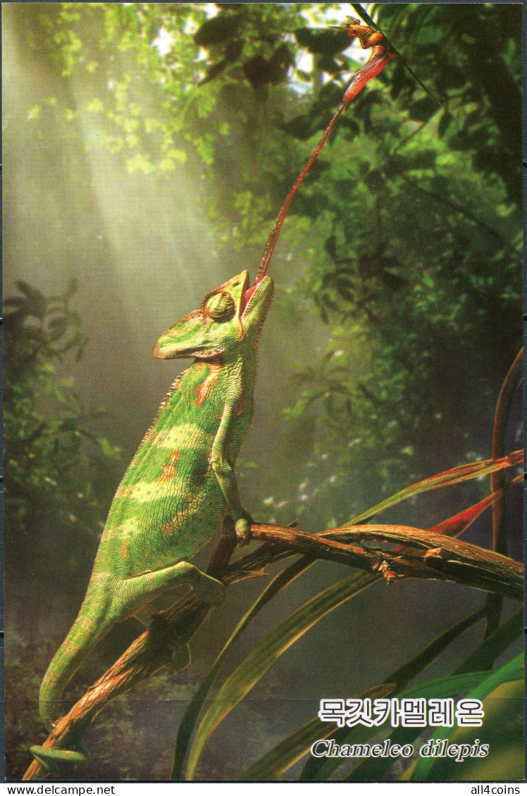 Korea. 2009. Flap-necked Chameleon  (Chamaeleo Dilepis) (Mint) PostCard - Korea, North