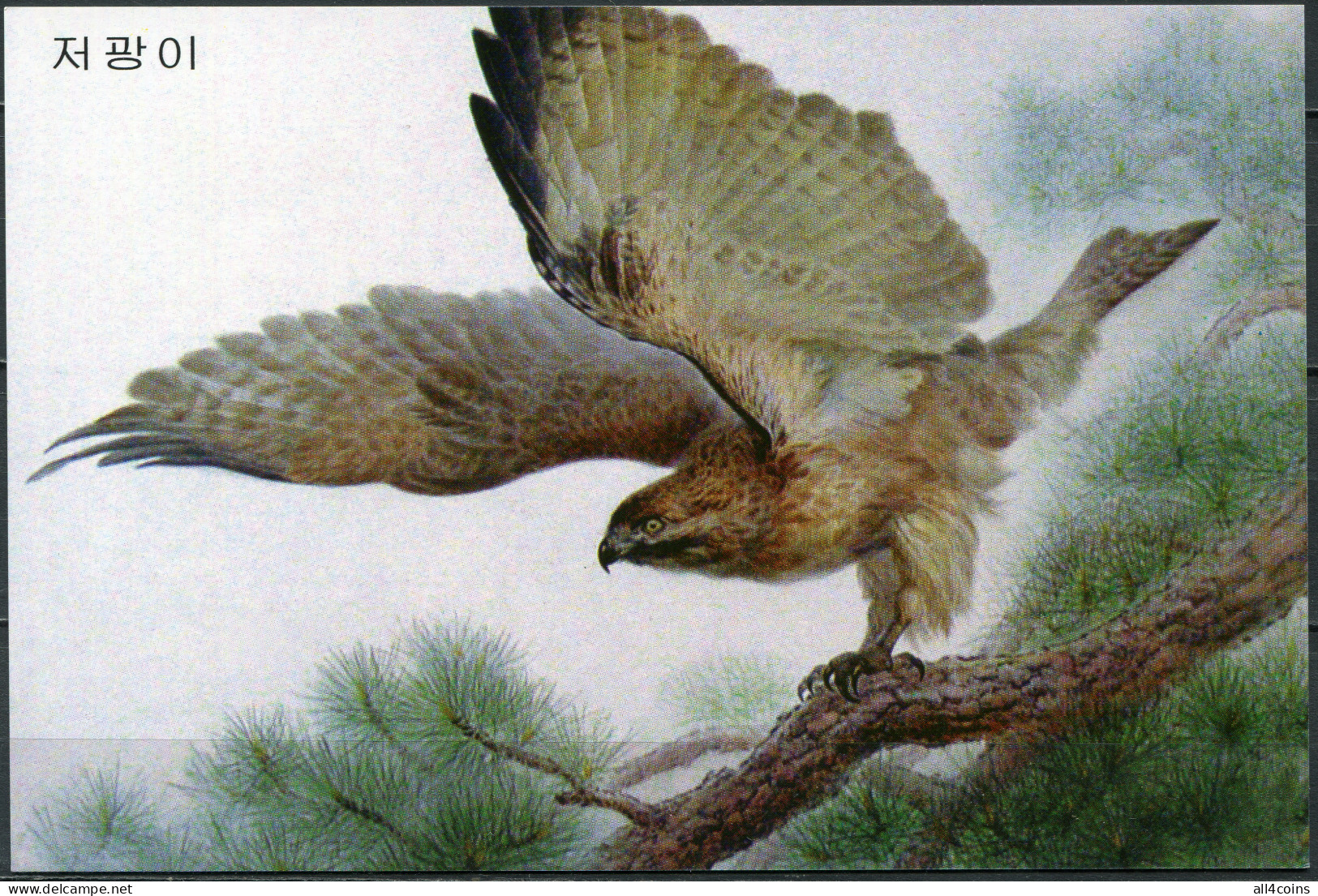 Korea. 2009. Falcon (Falco) (Mint) PostCard - Korea (Nord)