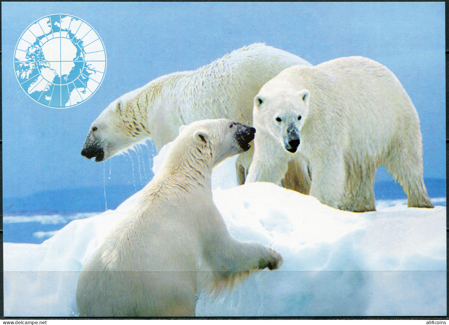Korea. 2013. Arctic Bear (Mint) PostCard - Corea Del Norte