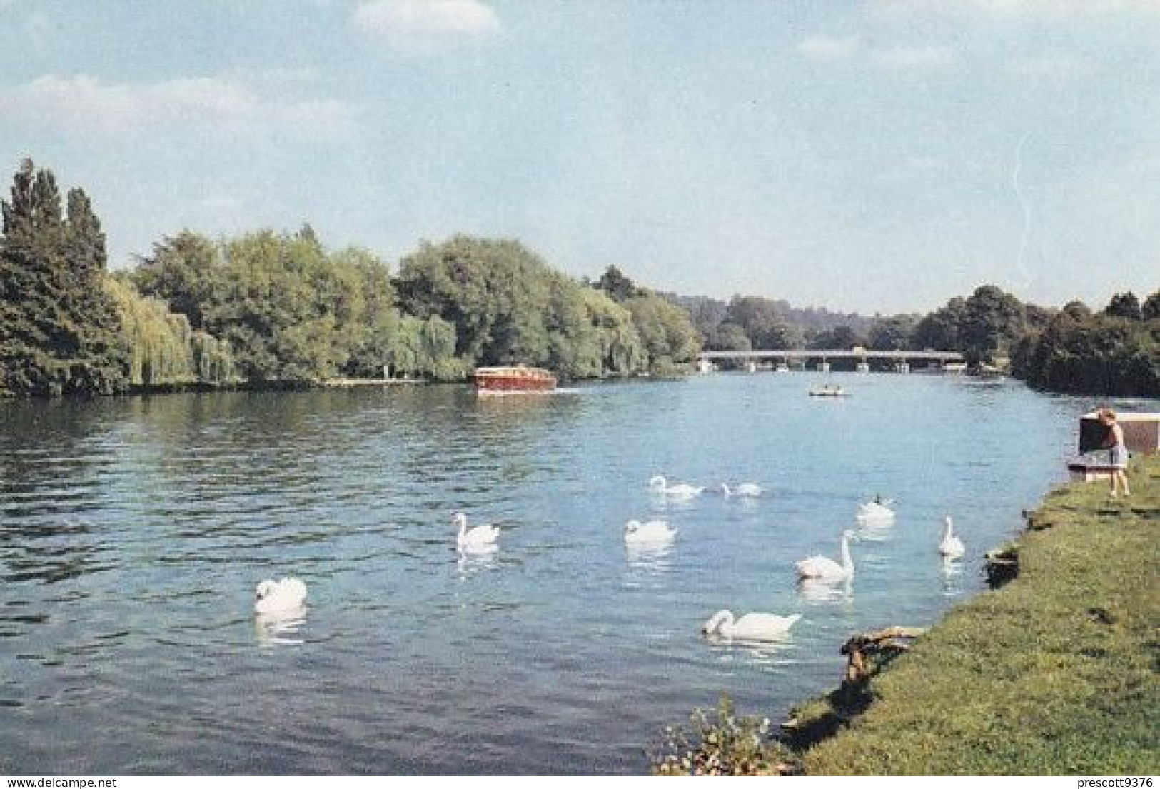 Cookham Bridge -  Berkshire - Unused Postcard, Ber1, Arthur Dixon - Windsor