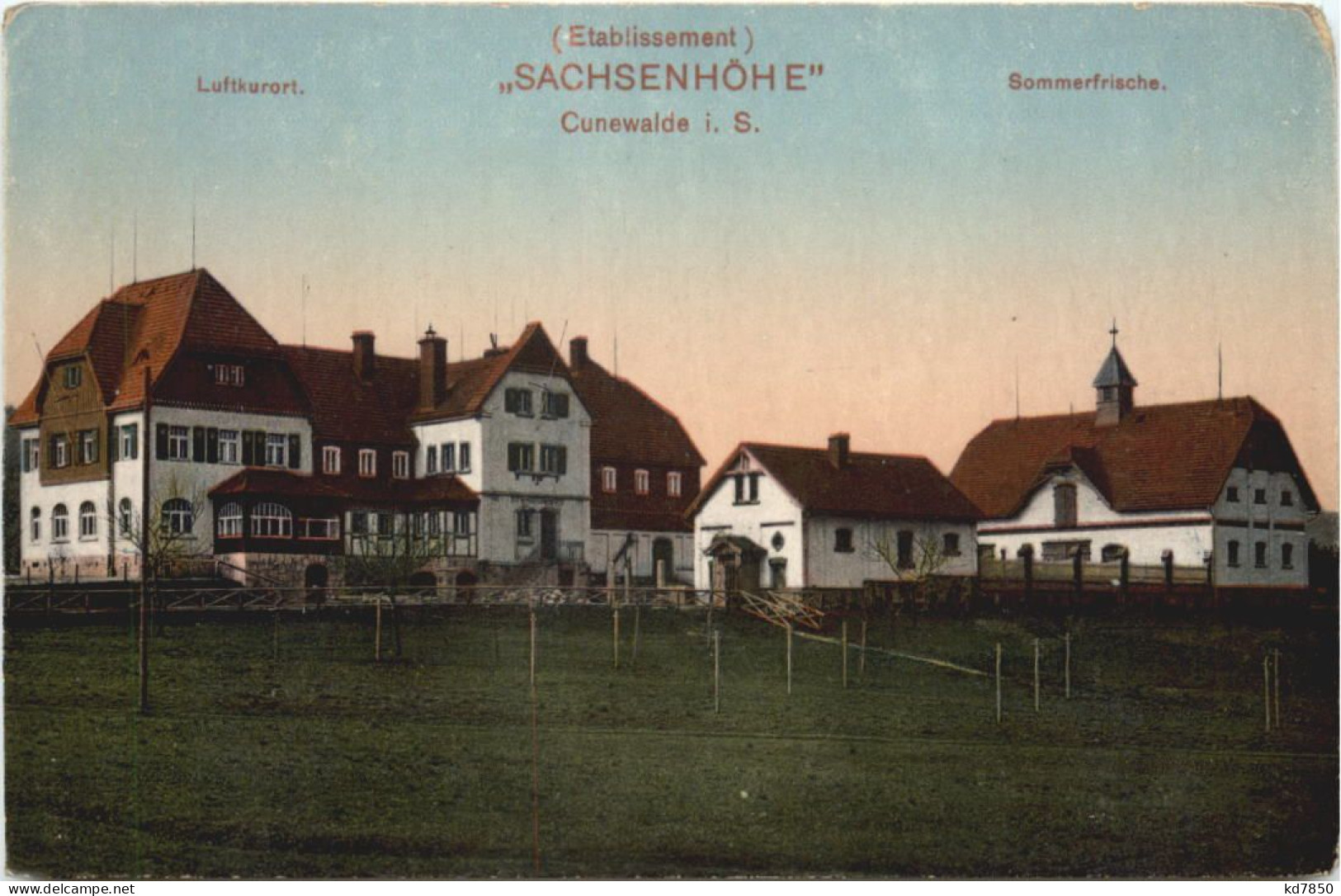 Cunewalde In Sachsen - Sachsenhöhe - Cunewalde