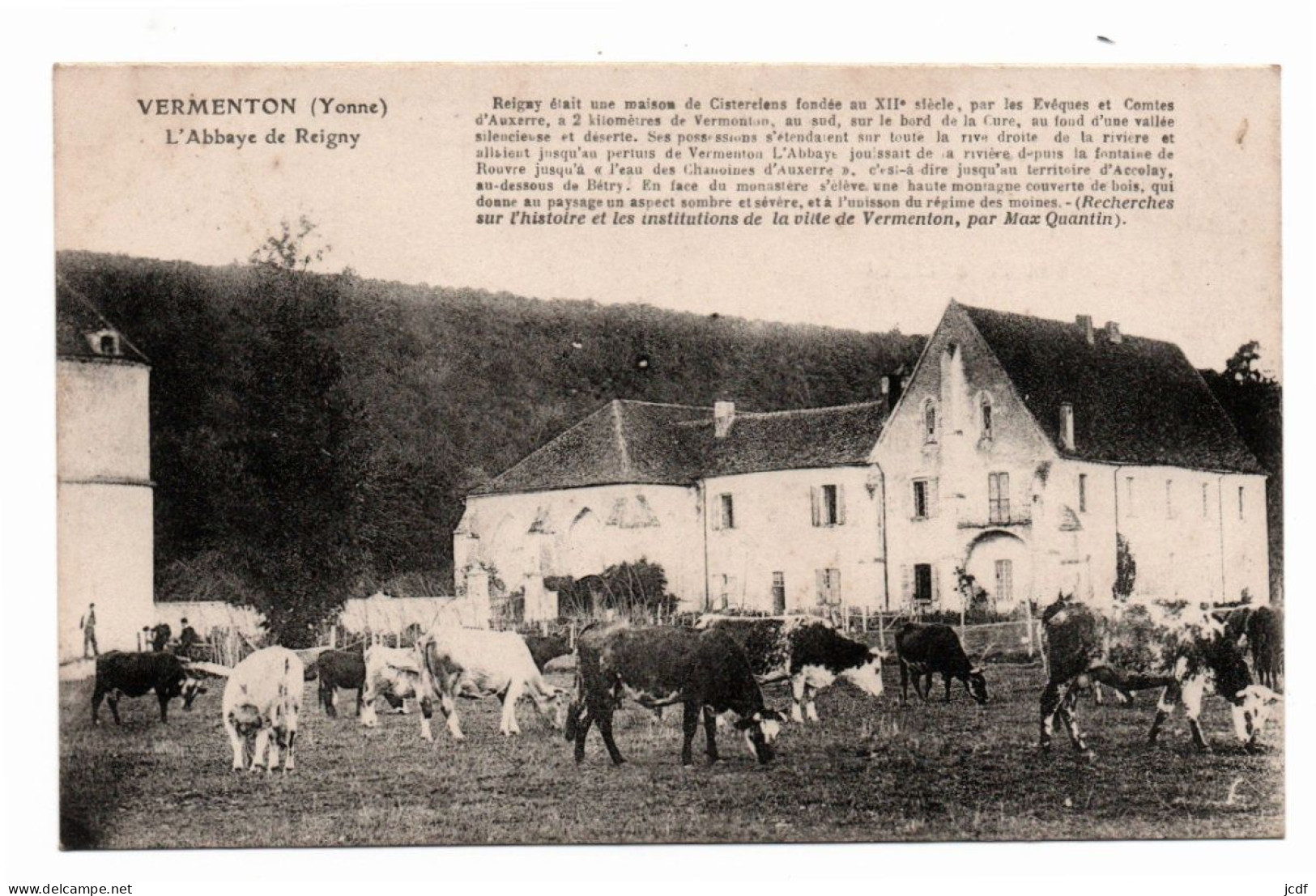 89 VERMENTON L'Abbaye De Reigny - Vaches Au Pré Près De L'Abbaye - Vermenton