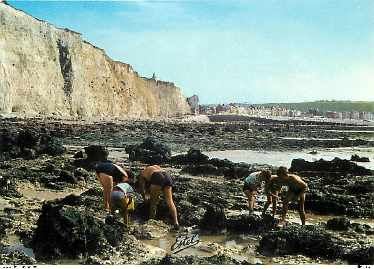 80 - Mers Les Bains - CPM - Voir Scans Recto-Verso - Mers Les Bains