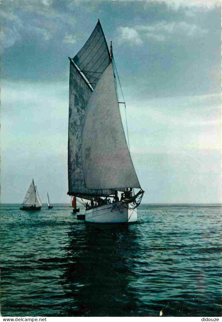 Bateaux - Voiliers - Bretagne - CPM - Voir Scans Recto-Verso - Voiliers