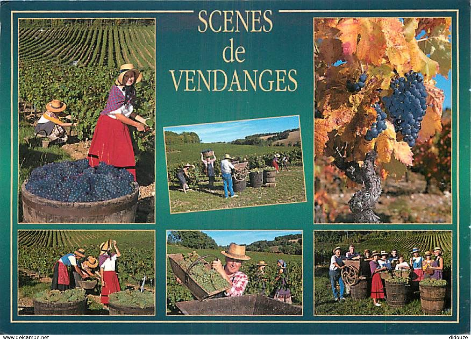 Vignes - Vendanges - Multivues - Folklore - CPM - Voir Scans Recto-Verso - Viñedos