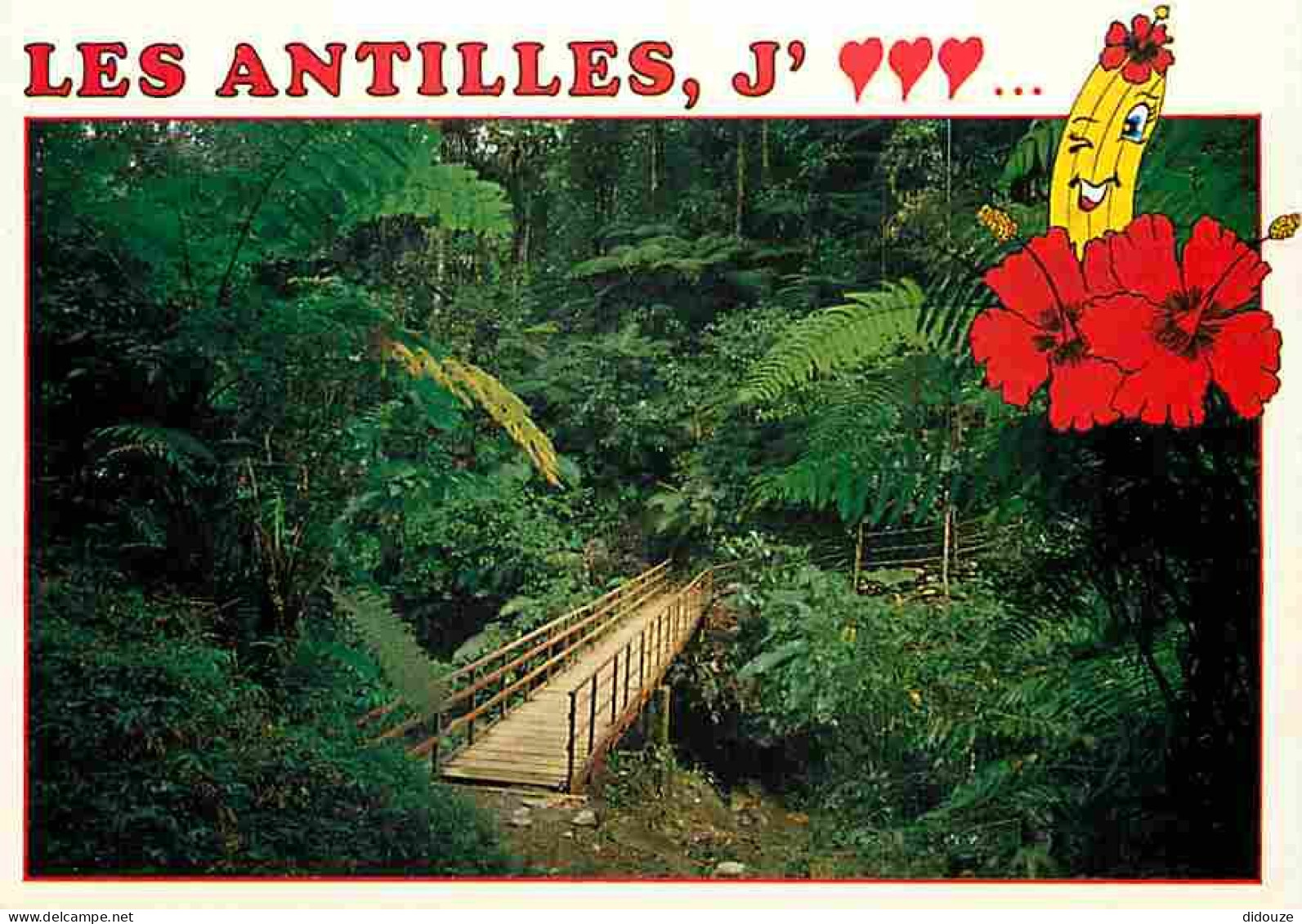 Antilles - West Indies - La Forêt Tropicale - Pont De Bois - Carte Neuve - CPM - Voir Scans Recto-Verso - Andere & Zonder Classificatie