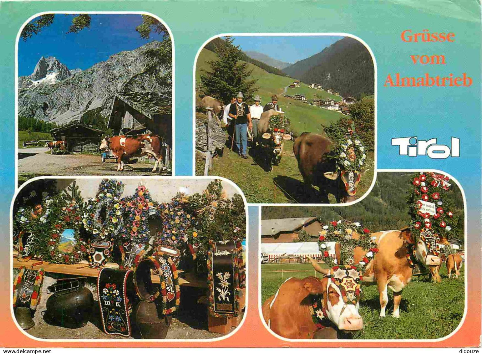 Animaux - Vaches - Autriche - Tirol - Multivues - CPM - Etat Pli Visible - Voir Scans Recto-Verso - Cows