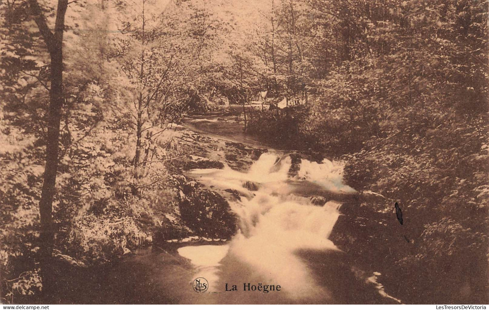 BELGIQUE - Waimes - La Hoëgne - Carte Postale Ancienne - Weismes