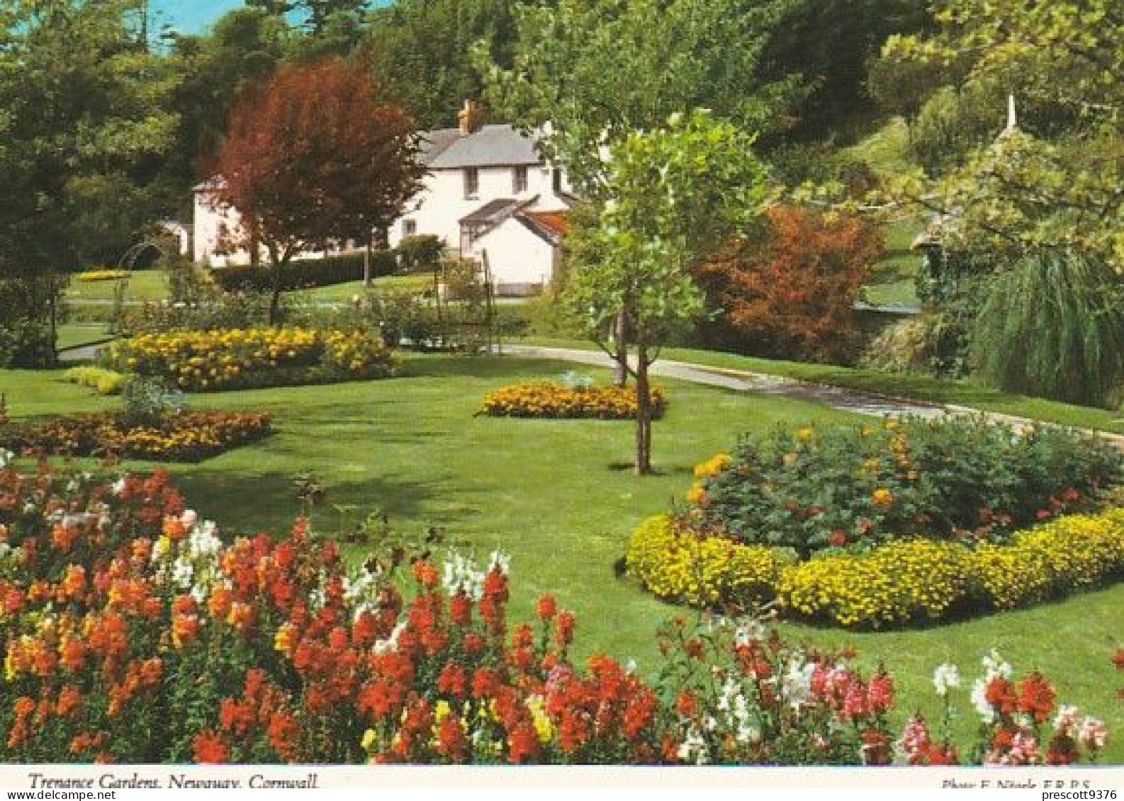 Trenance Gardens - Cornwall - Unused Postcard - John Hinde - Cor1 - Newquay