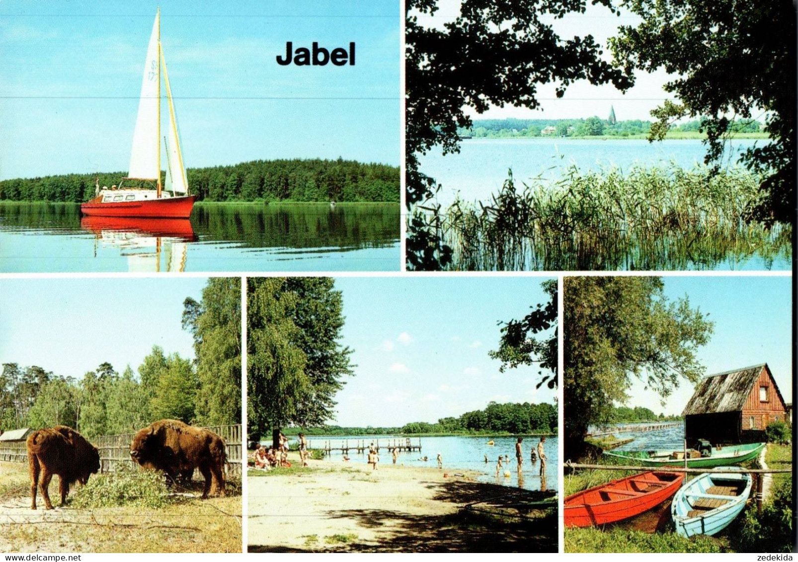 H1247 - TOP Jabel OT Damerow Campingplatz - Bild Und Heimat Reichenbach Qualitätskarte - Waren (Mueritz)