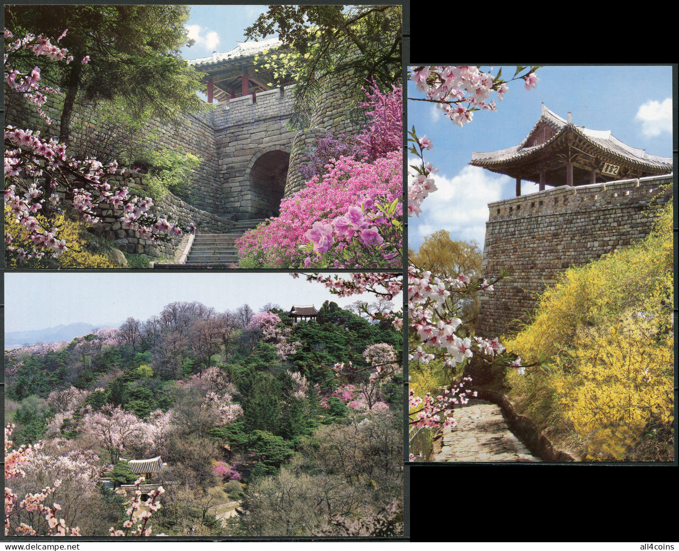 Korea. 2007. Moran Hill ("Peony Hill") (Mint) Set Of 3 PostCards - Corée Du Nord