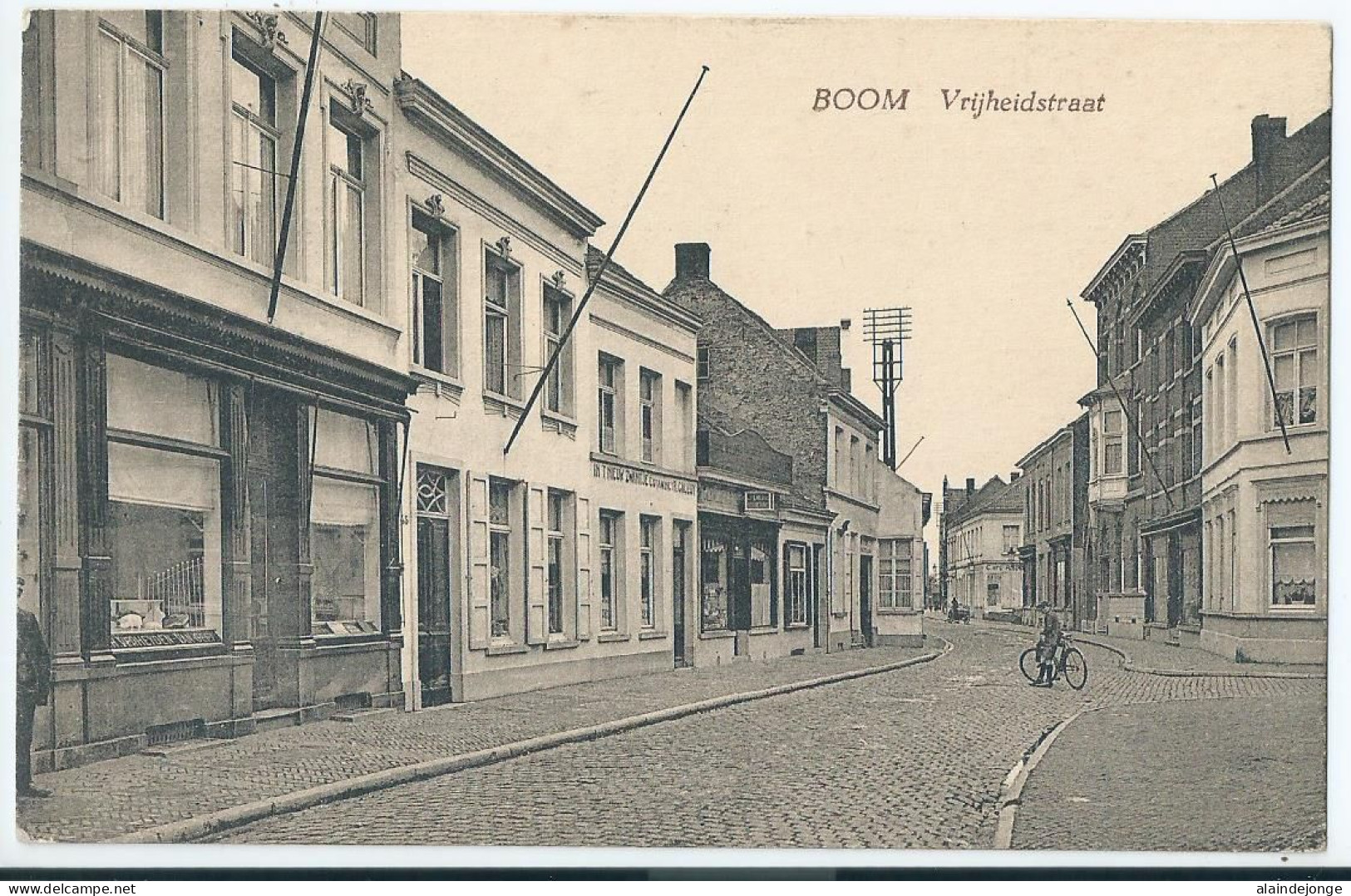 Boom - Vrijheidstraat  - Boom