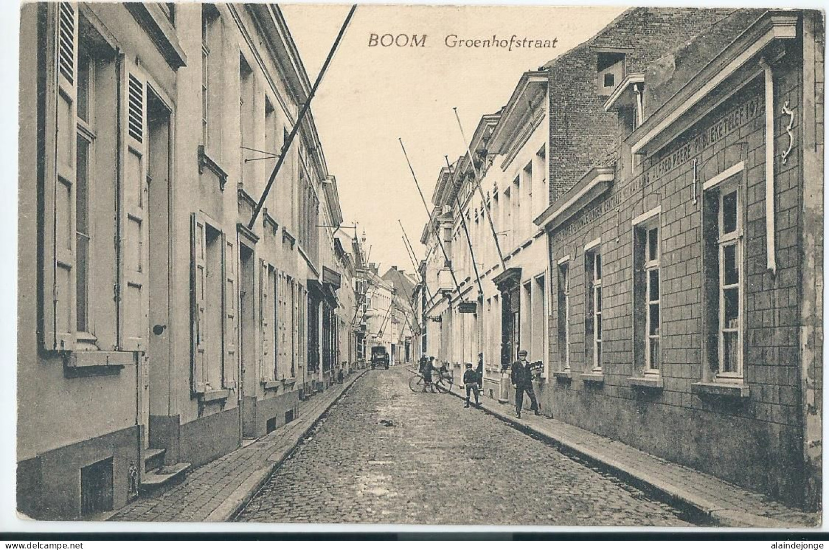 Boom - Groenhofstraat  - Boom